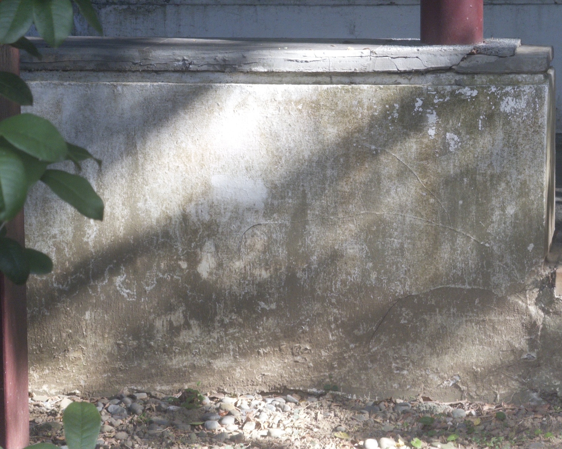 早晨的陽光灑落在矮牆上形成樹影